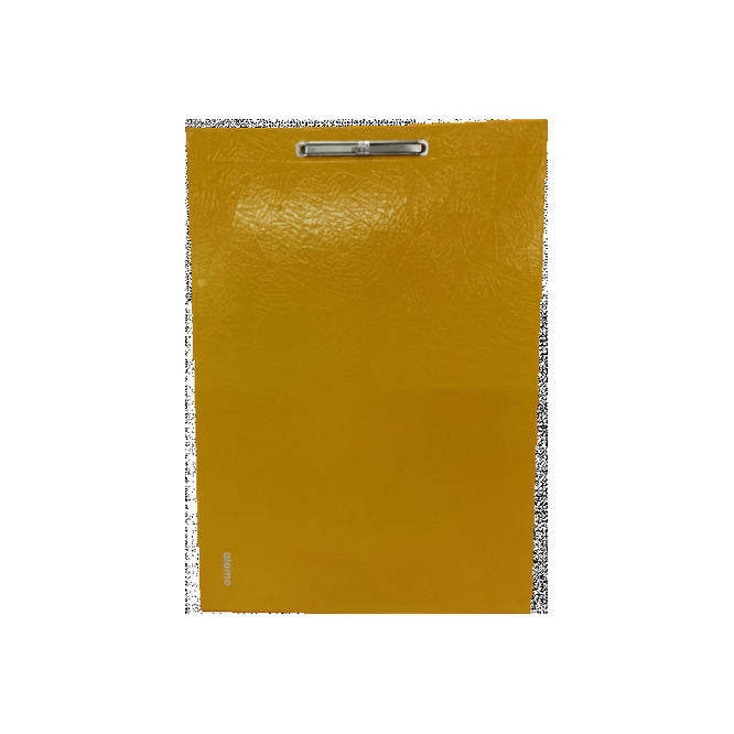 Carpeta plastificada araña Disney Álamo