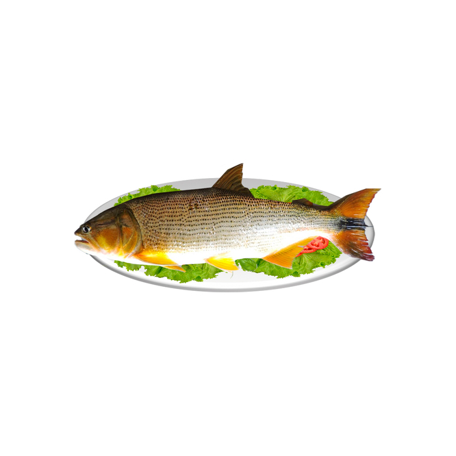 Pescado Dorado por kilo