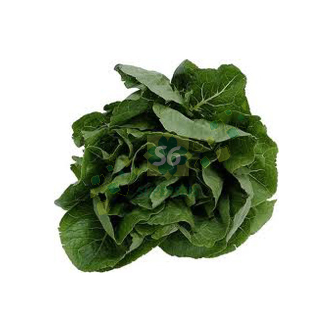 ESPINACA S/E 1 MZ NEGRO