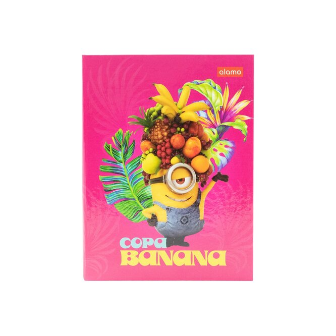 CUAD ESC MINIONS 96 HS 2R TD ALAMO