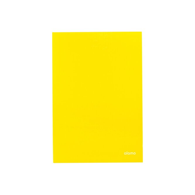 CARPETA ARCHIVADORA TAPA DURA PLASTIFICA