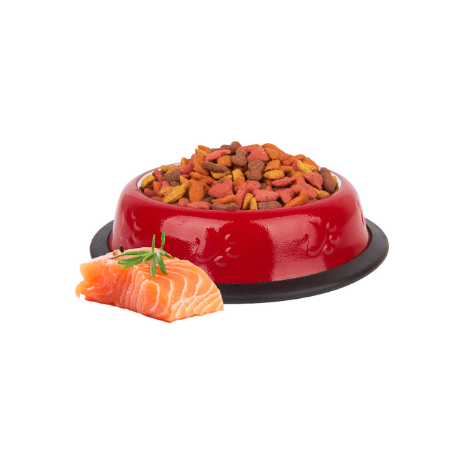 Alimento para gato adulto sabor salmon Master dog por kilo
