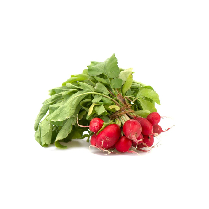 Rabanito Orgánico por Unidad