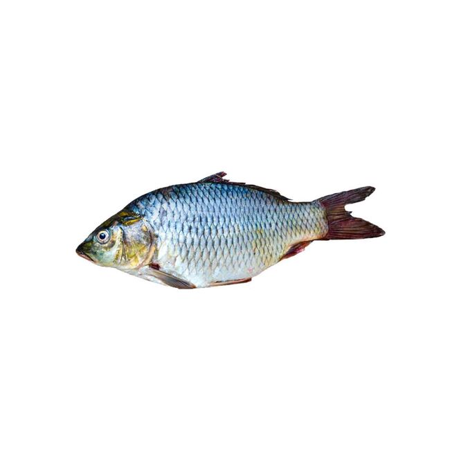 Pescado Boga por kilo