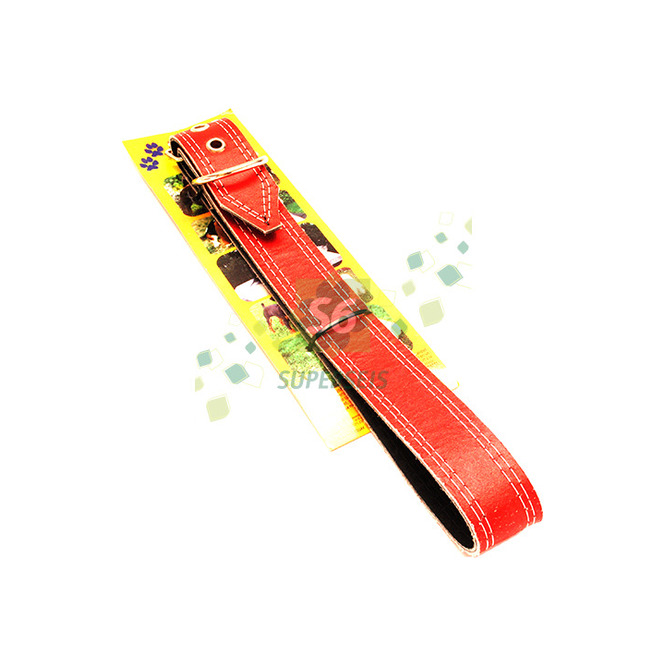 COLLAR PPERRO ANIMAL S SE 1 UN