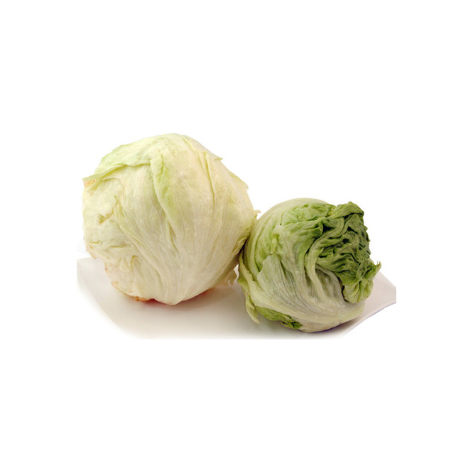 Lechuga repollada por kilo