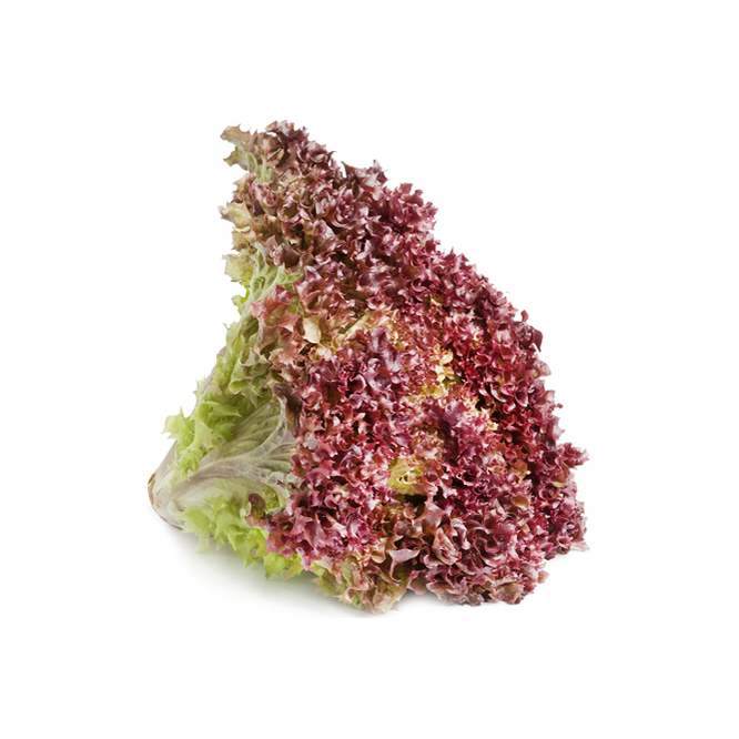 Lechuga Mimosa Morada por unidad