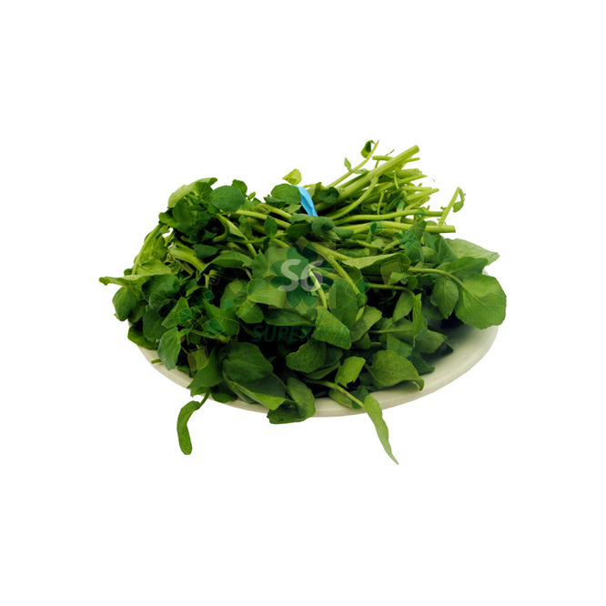 BERRO S/E 1 MZ ORGANICO