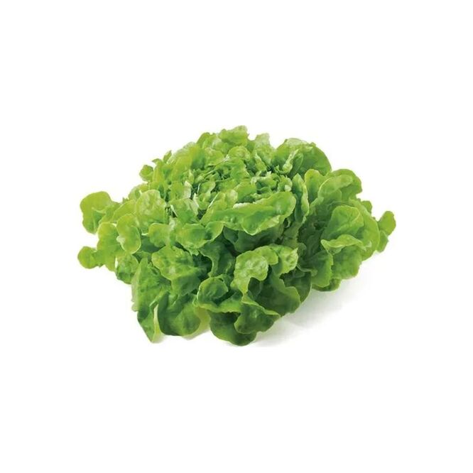 Lechuga Mantecosa por Unidad