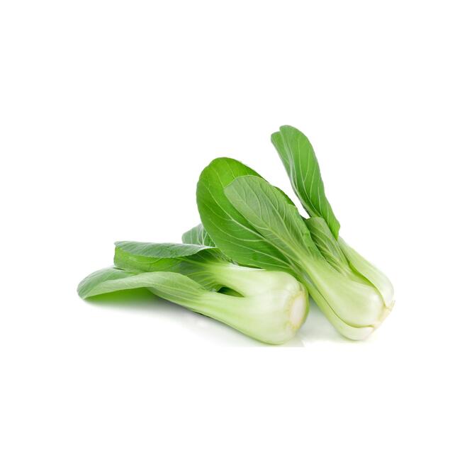 ACELGA CHINA  X MAZO