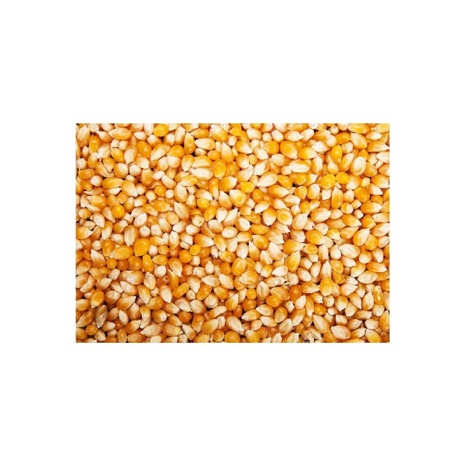 MAIZ PORORO A GRANEL S/E 1 KG SIN MARCA