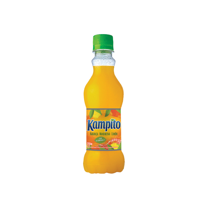 Jugo sabor citrus botella Kampito 250 ml