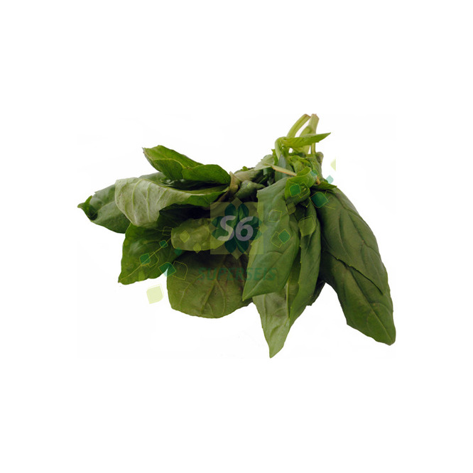 Albahaca verde por unidad