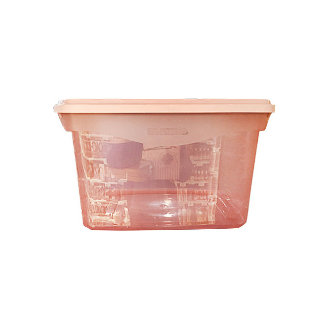 CAJA ORG 29L ROSA FLEX SAN REMO REF125