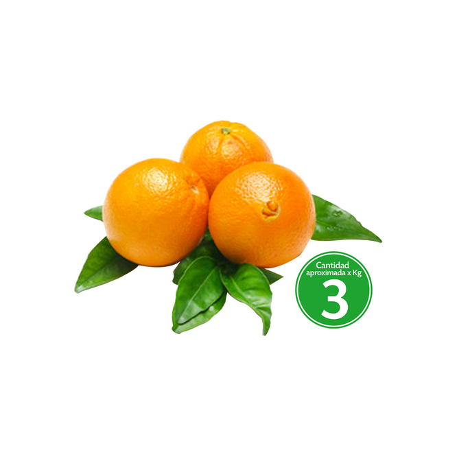 Naranja Ombligo por kilo