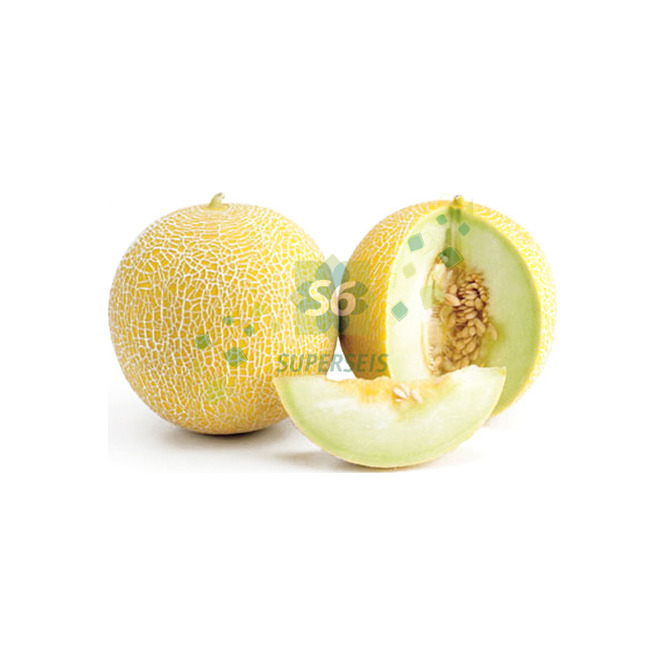 Melón Japonés por kilo