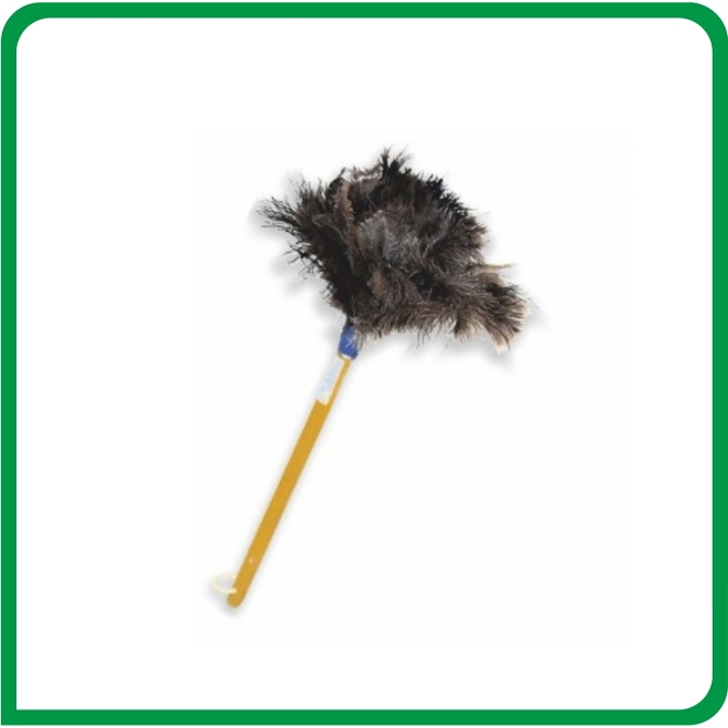 PLUMERO NRO 1 CHICO ARPAR S/E