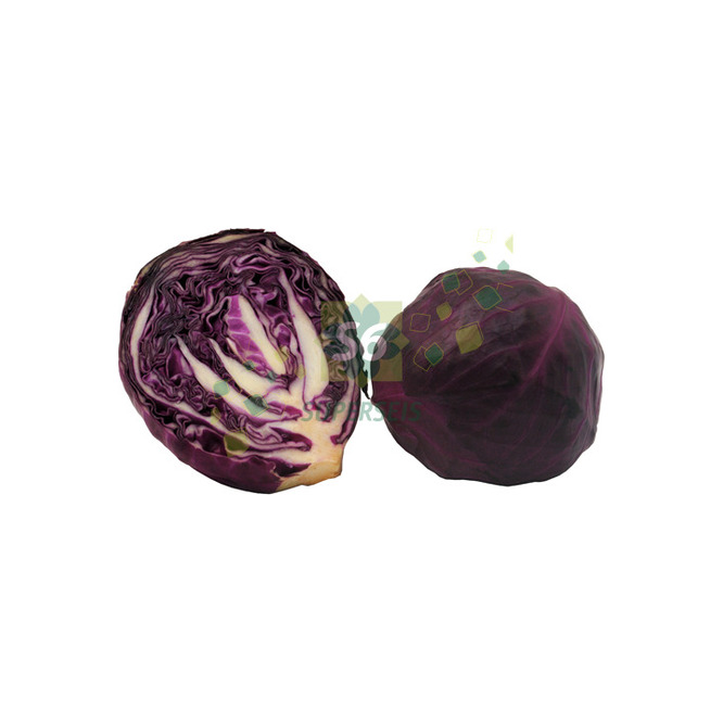 Repollo morado por kilo