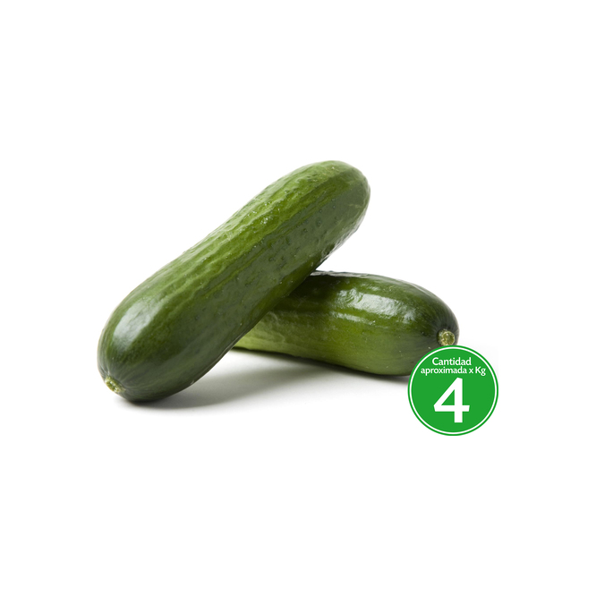 Pepino Nacional por kilo