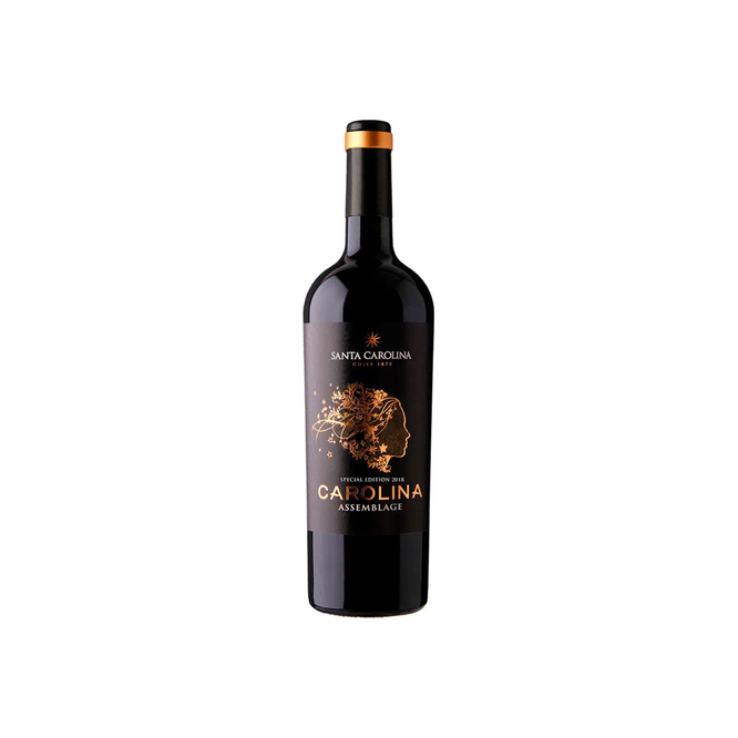 VINO STA CAROLIN ASSEMB TTO MALBEC 750ML