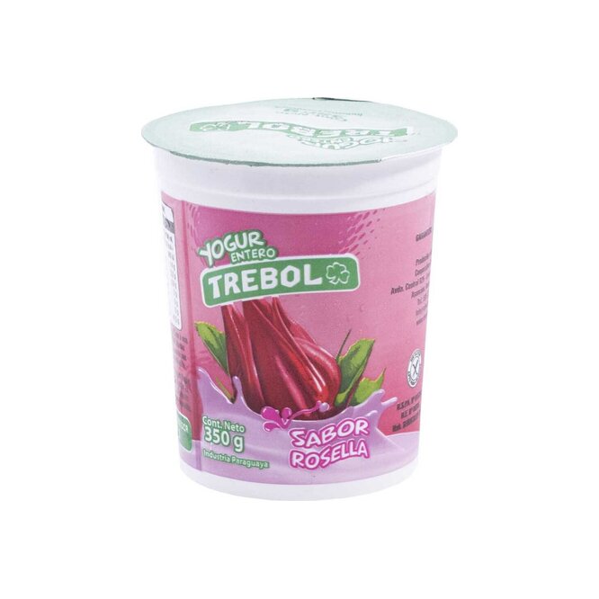 Yogurt Entero sabor a grosella en pote Trébol 350 ml