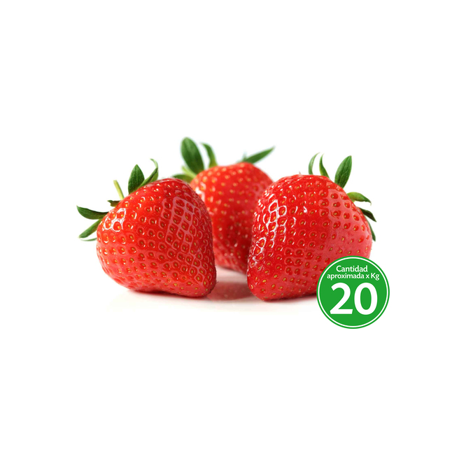 Frutilla Nacional por kilo