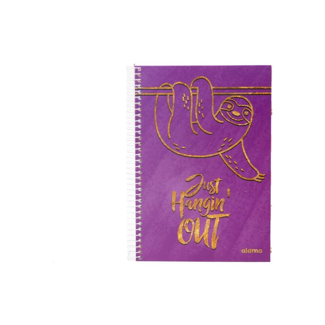 CUADERNO UNIV TD GOLD 200HJAS 1 RAYA ALA