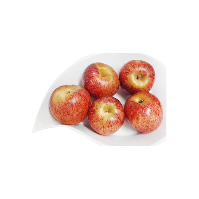MANZANA FUJI X KG
